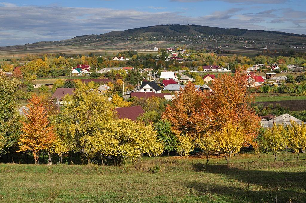 Bed & Breakfast Popamuseum Tarpesti Strada Muzeului Nr 28 Tirpesti Экстерьер фото
